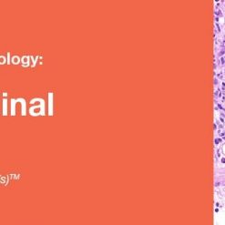 2019 Classic Lectures in Pathology What You Need to Know Gastrointestinal Pathology | Medical Video Courses.