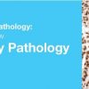 2019 Classic Lectures in Pathology What You Need to Know Genitourinary Pathology | Medical Video Courses.