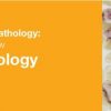 2019 Classic Lectures in Pathology: What You Need to Know: Hematopathology | Medical Video Courses.