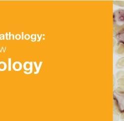 2019 Classic Lectures in Pathology: What You Need to Know: Hematopathology | Medical Video Courses.