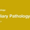 2019 Classic Lectures in Pathology What You Need to Know Pancreatobiliary Pathology | Medical Video Courses.