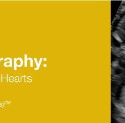2019 Fetal Echocardiography Normal and Abnormal Hearts | Medical Video Courses.