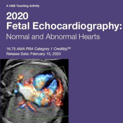 2020 Fetal Echocardiography Normal and Abnormal Hearts | Medical Video Courses.