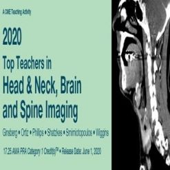2020 Top Teachers in Head & Neck, Brain and Spine Imaging | Medical Video Courses.
