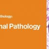 2021 Classic Lectures in Pathology: What You Need to Know: Gastrointestinal Pathology | Medical Video Courses.