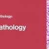 2021 Classic Lectures in Pathology: What You Need to Know: Soft Tissue Pathology | Medical Video Courses.