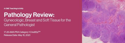 2021 Pathology Review: Gynecologic, Breast and Soft Tissue for the General Pathologist | Medical Video Courses.