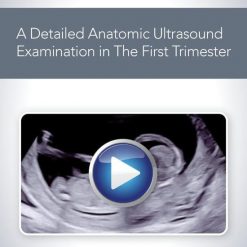 AIUM How to Perform a Detailed Anatomic Ultrasound Examination in the First Trimester | Medical Video Courses.