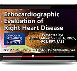 Gulfcoast Echocardiographic Evaluation of Right Heart Disease (Videos+PDFs) | Medical Video Courses.