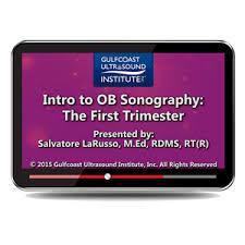 Gulfcoast Introduction to OB Sonography: The First Trimester | Medical Video Courses.
