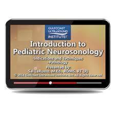 Gulfcoast Introduction to Pediatric Neurosonology | Medical Video Courses.