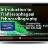 Gulfcoast Introduction to Transesophageal Echocardiography (Videos+PDFs) | Medical Video Courses.