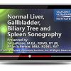 Gulfcoast Normal Liver, Gallbladder, Biliary Tree, and Spleen Sonography (Videos+PDFs) | Medical Video Courses.