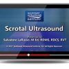 Gulfcoast Scrotal Ultrasound (Videos+PDFs) | Medical Video Courses.