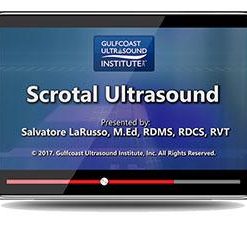 Gulfcoast Scrotal Ultrasound (Videos+PDFs) | Medical Video Courses.