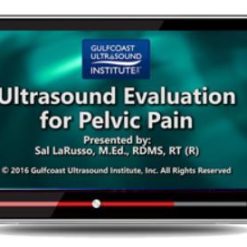 Gulfcoast Ultrasound Evaluation for Pelvic Pain | Medical Video Courses.