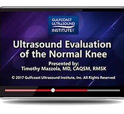 Gulfcoast Ultrasound Evaluation of the Normal Knee Training (Videos+PDFs) | Medical Video Courses.