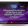 Gulfcoast Ultrasound Evaluation of the Spine and Injection Techniques (Videos) | Medical Video Courses.