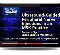 Gulfcoast Ultrasound Guided Peripheral Nerve Injections in an MSK Practice (Videos+PDFs) | Medical Video Courses.