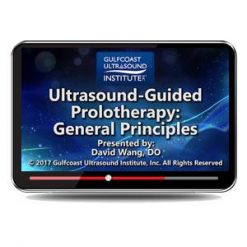 Gulfcoast Ultrasound Guided Prolotherapy: General Principles (Videos) | Medical Video Courses.