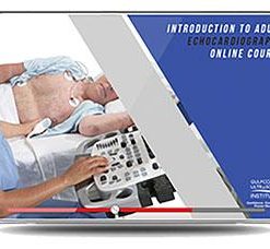 Introduction to Adult Echocardiography 2019 (Gulfcoast Ultrasound Institute) | Medical Video Courses.