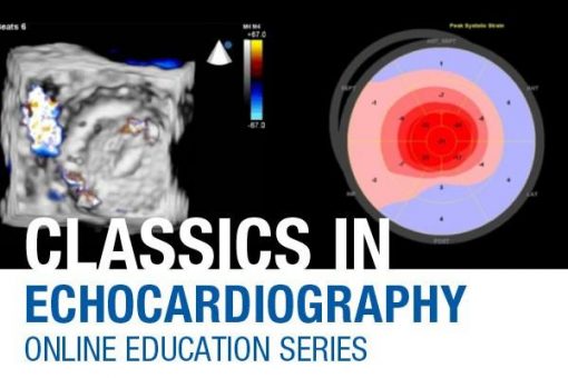 Mayo Clinic Classics in Echocardiography Online Series 2020 | Medical Video Courses.