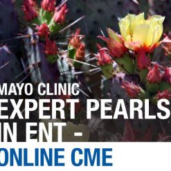 Mayo Clinic Expert Pearls in ENT: Full Course 2020 | Medical Video Courses.