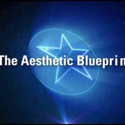 The Aesthetic Blueprint Digital Library 2019 | Medical Video Courses.