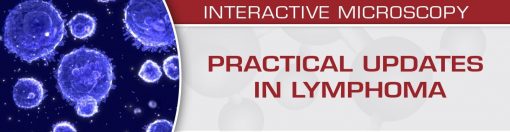 USCAP Practical Updates in Lymphoma 2018 | Medical Video Courses.