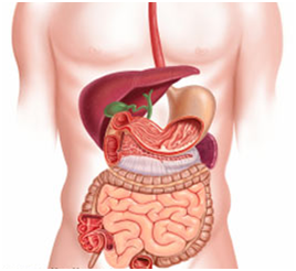 Gastroenterology Courses